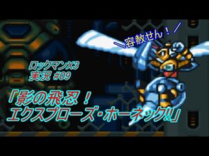 【Mega Man X3/ロックマンX3 ゆっくり実況#10】「影の飛忍！エクスプローズ・ホーネック!!」【ロックマン アニバーサリー コレクション(PS4版)】
