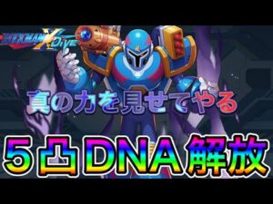 VAVAMK-ⅡをDNA解放させてPVPへ！そりゃライドアーマーに頼るわ…【ロックマンX DiVE#428】