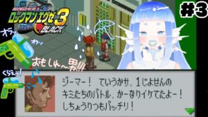思い出しおおはしゃぎ【ロックマンエグゼ3】③