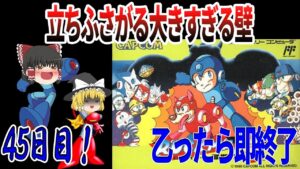 【ゆっくり実況】【ロックマン３】乙ったら即終了！最後はやっぱりお前だったか…